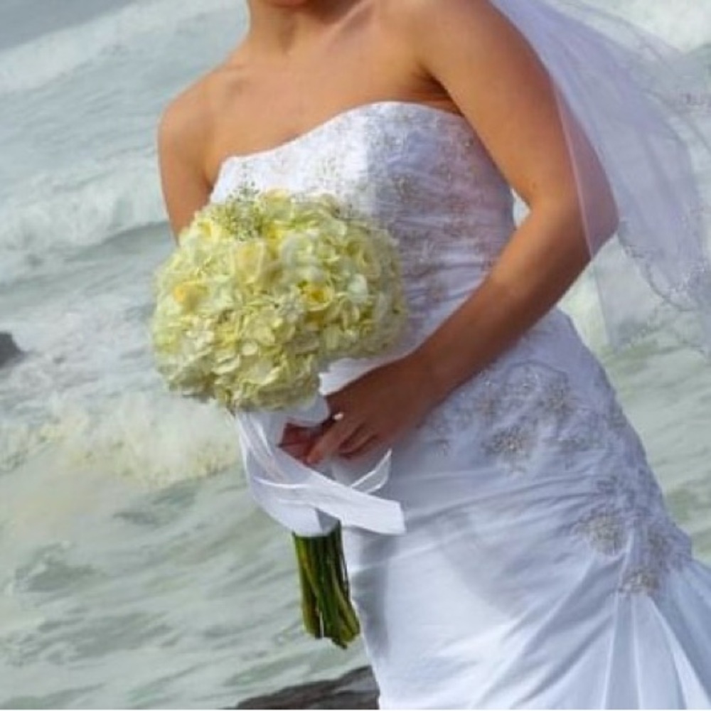 David’s Bridal gown. Worn once. Great condition!
